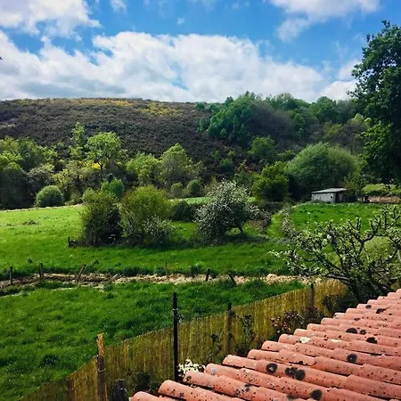 Buxo Ribeira Sacra Nyaraló