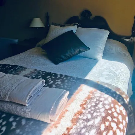 Buxo Ribeira Sacra Nyaraló Carballedo